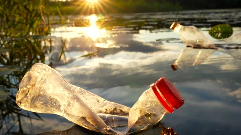 Plastic waste in lake. Ocean pollution, marine debris. Marine litter. Stock Footage 285946006