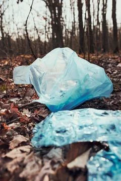 Plastic waste left in forest Stock Photos