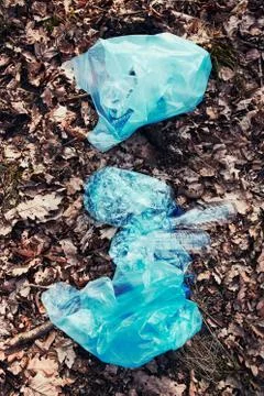 Plastic waste left in forest Stock Photos