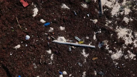 Plastic Waste Littered on a Beach Caused by Dumping of Plastics in the Ocean Stock Footage 235465039