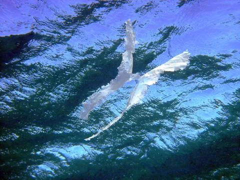 Plastic waste in the ocean Stock-Fotos