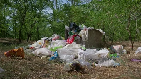 Plastic Waste Overflowing in Green Forest Garbage Container Stock Footage 344772191