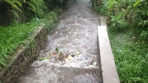Plastic waste pollutes river during rain. Stock Footage 290485515