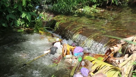 Plastic waste pollutes rivers. Plastic waste Stock Footage 292586333