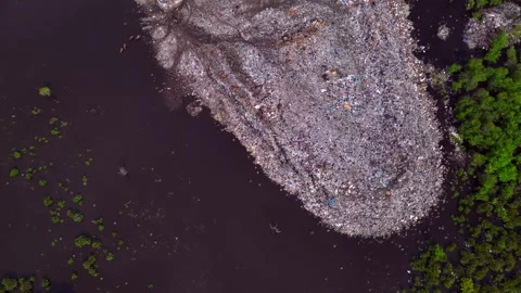 Plastic waste polluting environment dump with cows. Dramatic aerial view drone Stock-Footage 344613425