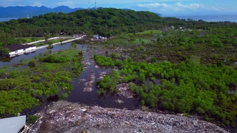 Plastic waste polluting environment dump with cows. Perfect aerial view drone Stock-Footage 344618847