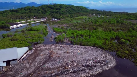 Plastic waste polluting environment dump with cows. Amazing aerial view drone Stock-Footage 344619180
