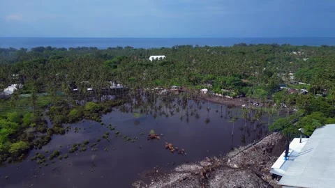 Plastic waste polluting environment dump with cows. Lovely aerial view drone Stock-Footage 344620711