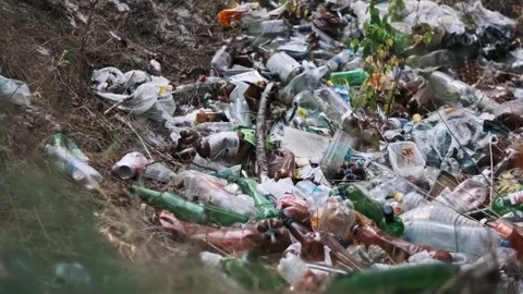 Plastic Waste Polluting Forest Stock Footage 303706278