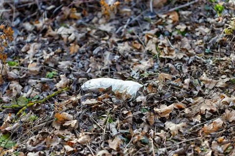 Plastic waste polluting natural environment among fallen leaves Stock Photos