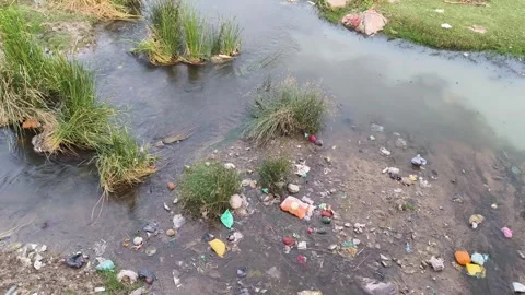 Plastic Waste Polluting Natural Stream Water Stock Footage 330324803