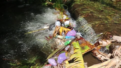 Plastic waste polluting the river. Stock Footage 292586295