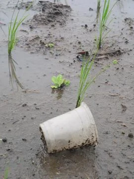Plastic waste polluting the soil and water Stock Photos