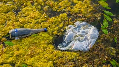 Plastic Waste Polluting Water at Ada Ciganlija, July,13,2026 Belgrade, Serbia 写真素材