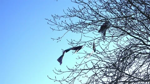 Plastic waste pollution Stock Footage 126058926