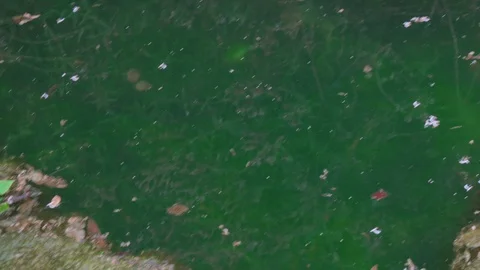 Plastic waste - the problem of pollution of the environment Stock Footage 101064953