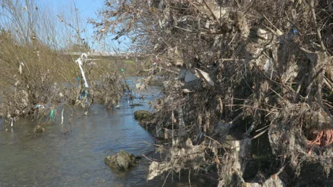 Plastic waste on river bank 動画素材 236803595
