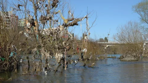 Plastic waste on river bank tree branches 動画素材 236822724