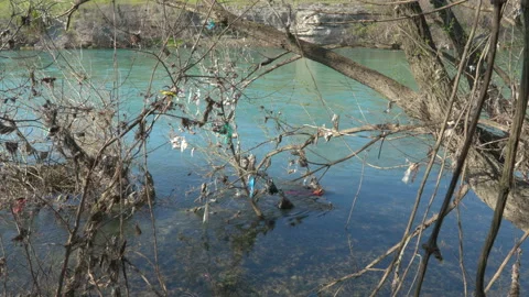 Plastic waste on river bank trees 動画素材 236835443