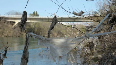 Plastic waste on river bank trees 動画素材 236862145