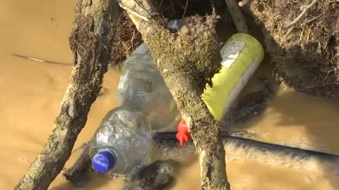 Plastic waste in the river Stock Footage 150025558