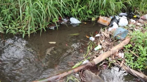 Plastic waste in the river. Stock Footage 229094829