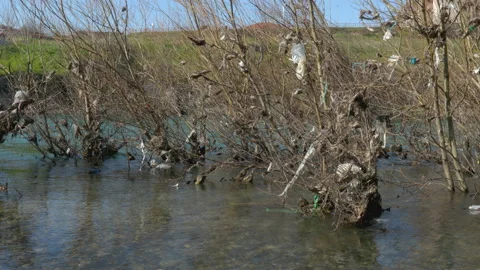 Plastic waste in river 動画素材 236808603