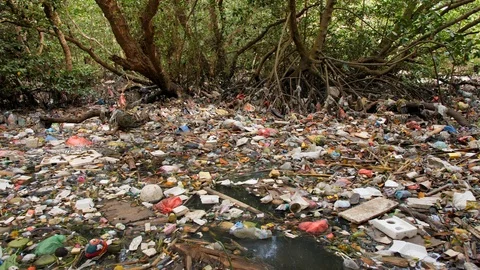 Plastic Waste Rubbish Floating in Forest River Water. Huge Dump in Tropical Stock Footage 103839208