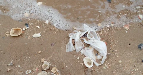 Plastic waste on the sandy beach Cha-am.Marine sea ecosystem full of plastic. Stock Footage 250599222