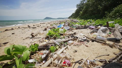 Plastic Waste Scattered Along Sandy Beach. Assorted Plastic Bottles, Bags, And Stock Footage 312864278