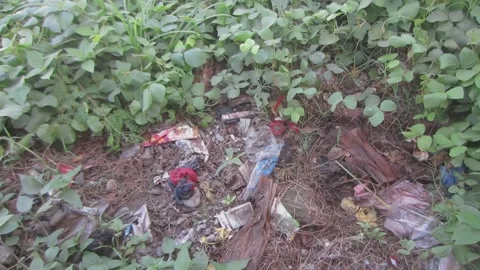 Plastic waste scattered on the grass Stock Footage 208897524