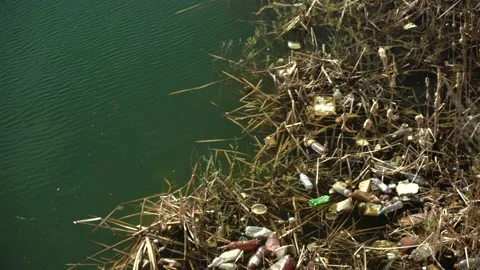 Plastic waste at sea Stock Footage 154577837