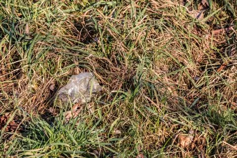 Plastic waste thrown away in the middle of nature Stock Photos