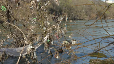 Plastic waste on tree branches in the river 動画素材 236873331