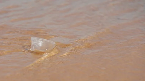 Plastic waste washed ashore on beach. Environmental trash, Garbage. Stock Footage 129872141