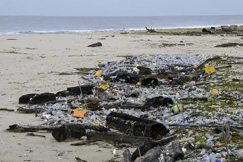 Plastic waste washed ashore, Loango National Park, Parc National de Loango, Stock-Fotos