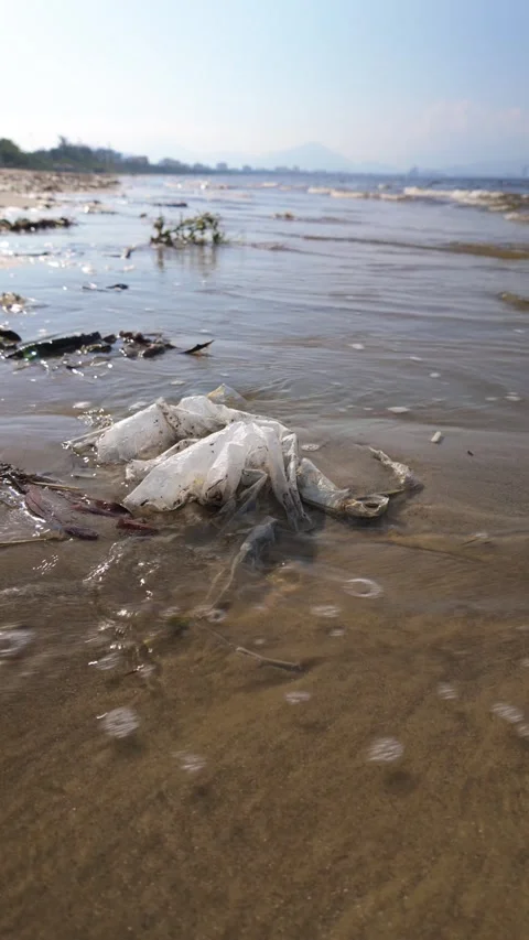 Plastic Waste Washed by Waves on a Polluted Beach 스톡 동영상 347928006