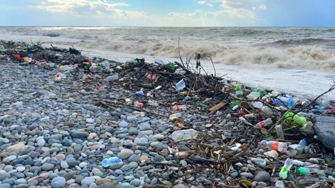 Plastic waste washing ashore wide shot on a rocky beach Stock Footage 345361708