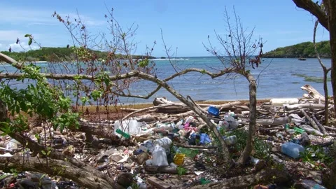 Plastic waste washing up on the the beach Stock Footage 256052280