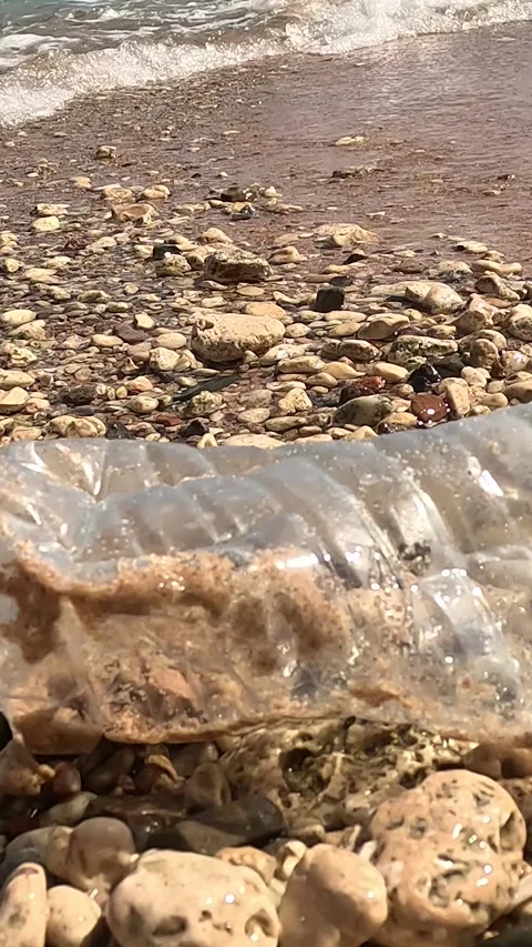 Plastic water bottle discarded on stony seashore. Environmental pollution Stock Footage 331555064