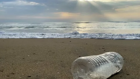 Plastic water bottle floating on the sea shore Stock Footage 212839847