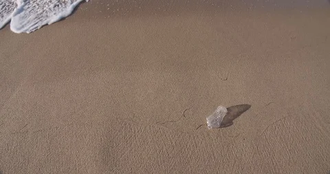 Plastic water bottle garbage on the ocean beach Stock Footage 124750910