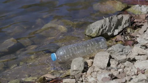 Plastic water bottle in the stream in the forest. environmental conservation Stock Footage 171558236