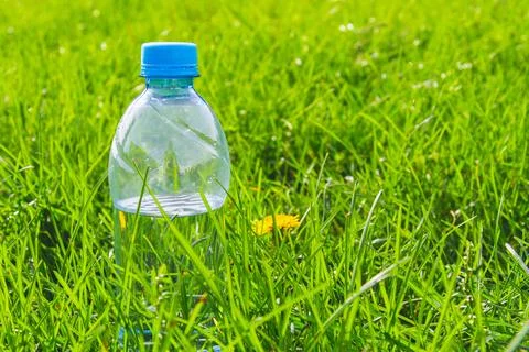 Plastic water bottle in thick green grass in sun. Stock Photos