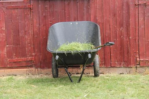 Plastic Wheelbarrow. Stock Photos