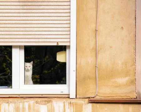 Plastic windows on the vintage wall Stock Photos