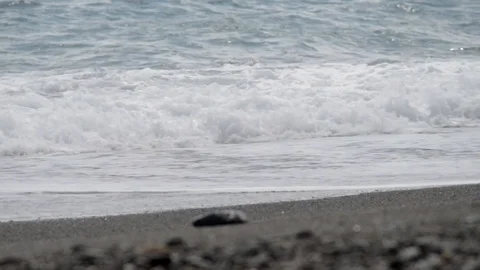 Plastic on the windswept beach Stock Footage 121090887