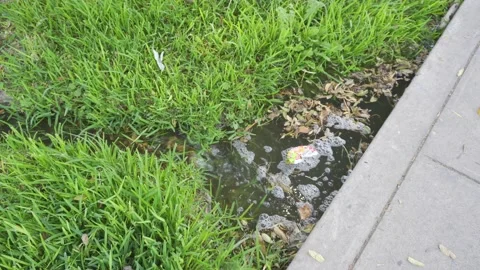 A plastic wrap in a small stream in a city park Stock Footage 150672509