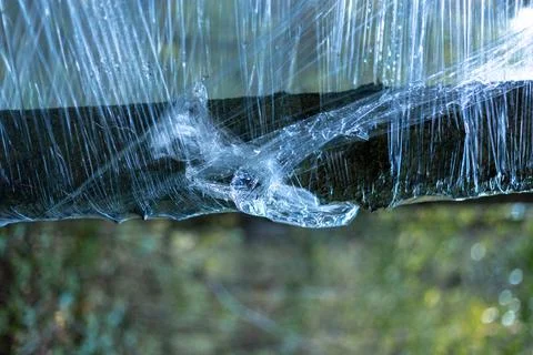 Plastic wrap on trees in the forest Stock Photos