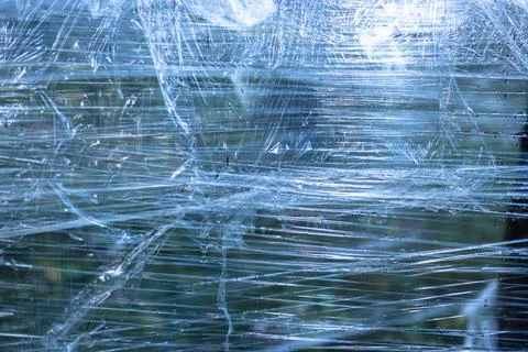 Plastic wrap on trees in the forest Stock Photos